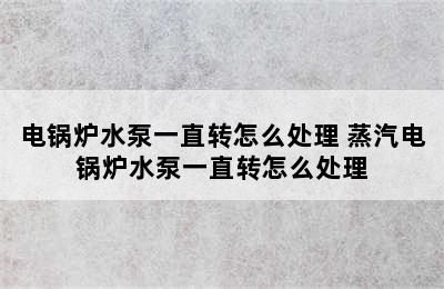 电锅炉水泵一直转怎么处理 蒸汽电锅炉水泵一直转怎么处理